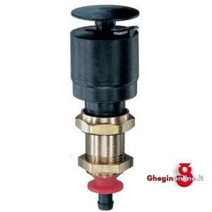 VALVOLE DI SCARICO AUTOMATICO INTERNE 3468GP VALVOLE DI SCAR.AUT. automatic drain valves Orig. Ewo
