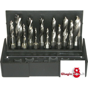 ASSORTIMENTO 12 PUNTE PER LEGNI CON ATTACCO ESAGONALE 1/4 DIN 3126 - C 6,3 4525GB ASS. PUNTE x LEGNI drills with center point and hexagon shank Orig. Völkel