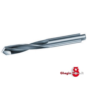 PUNTE CON RIPORTO IN METALLO DURO DIN 8038 ROTAZIONE DX 8330G 10 PUNTE RIP.HM (89303) carbide tipped twist drills, right hand cutting Orig. Hartner