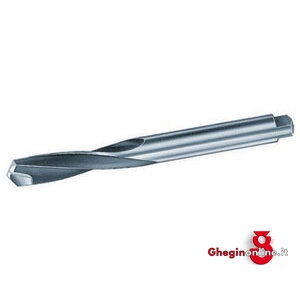 PUNTE CON RIPORTO IN METALLO DURO DIN 8037 ROTAZIONE DX 8331G 20 PUNTE RIP.HM (89301) carbide tipped twist drills, right hand cutting Orig. Hartner