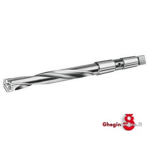 CORPO PORTAPLACCHETTE TIPO LUNGO SISTEMA MULTIPLEX ATTACCO CM ROTAZIONE DX CON 2 VITI 8629GL 6 CORPO PORTAPL. (86660) multiplex shank holders, long type Orig. Hartner