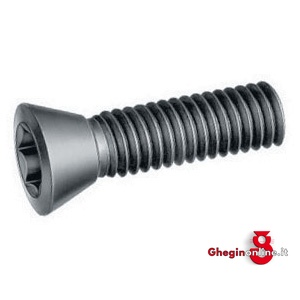ACCESSORI SISTEMA MULTIPLEX - VITI TORX PER PORTAPLACCHETTE 8638GP 5 20 VITI x PORTAPL (86807) accessories. for coolant feed Orig. Hartner