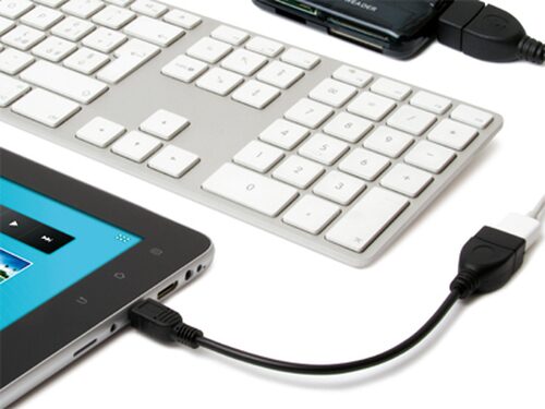 Adattatore computer Adattatore computer Hamlet XUMINIAD Mini Usb On The Go (ord.min.1.00 unità)
